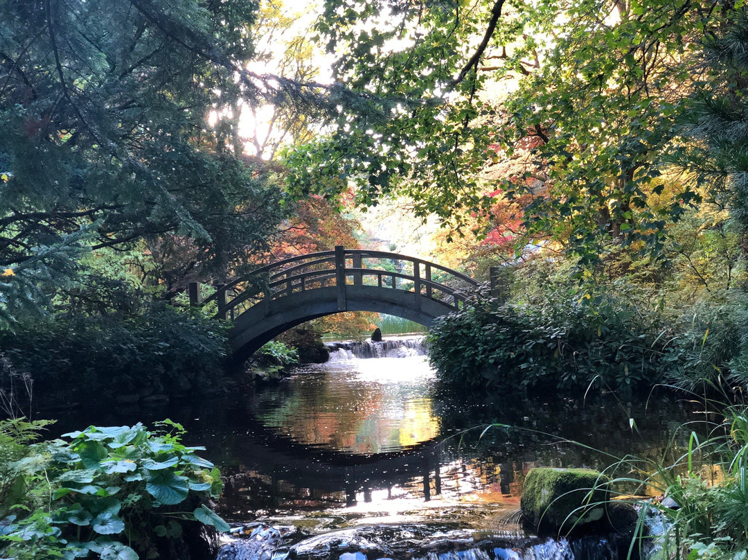 Japanese Water Garden景点图片