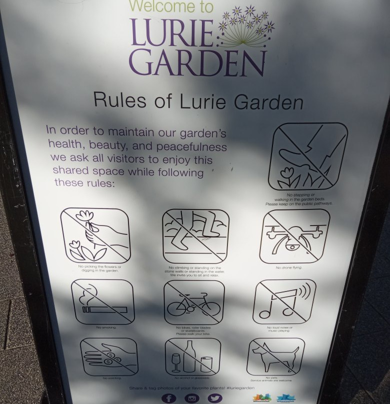 Lurie Garden景点图片