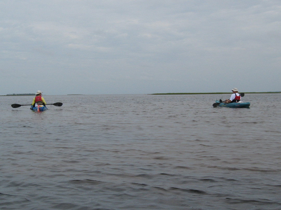 Happy Ours Kayak and Bike Outpost-Port Saint Joe必去景点