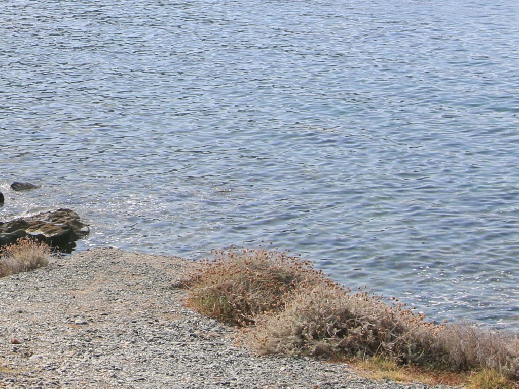 Tour d'Albo-Ogliastro必去景点