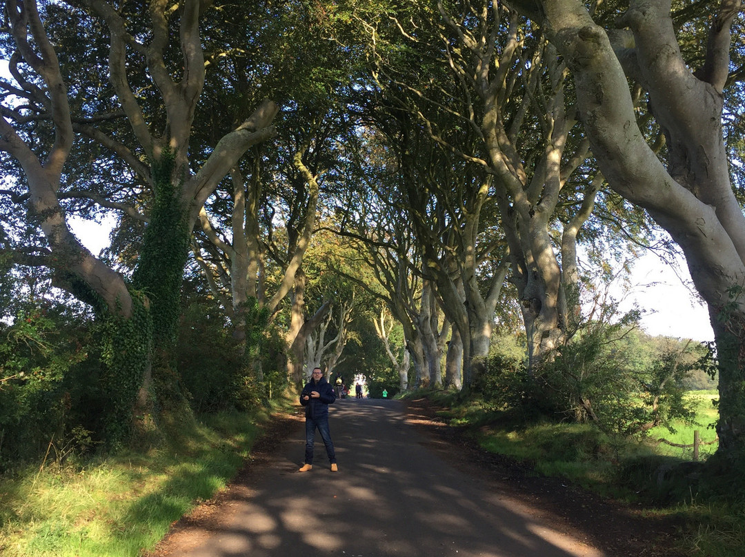 Dark Hedges Experience景点图片