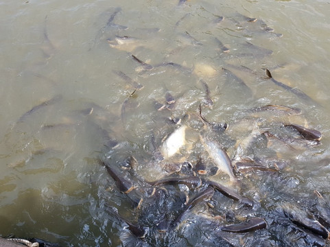 Go Bangkok Tours-曼谷必去景点