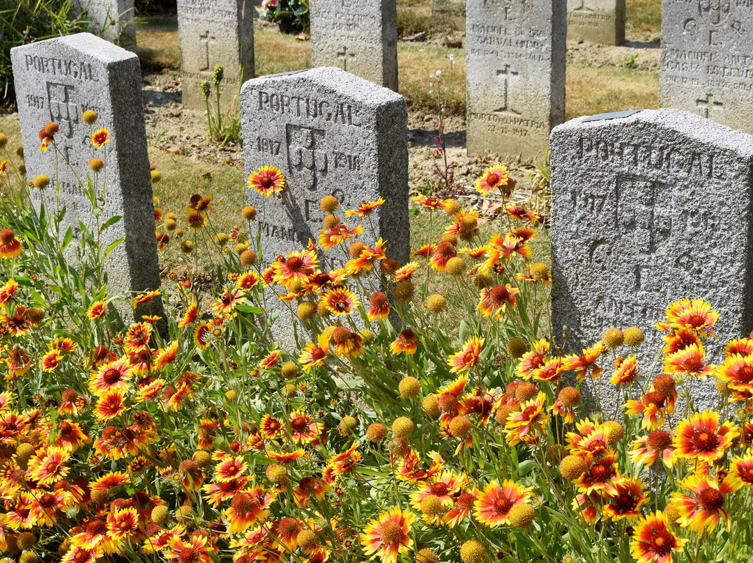 Cimetière Militaire Portugais景点图片