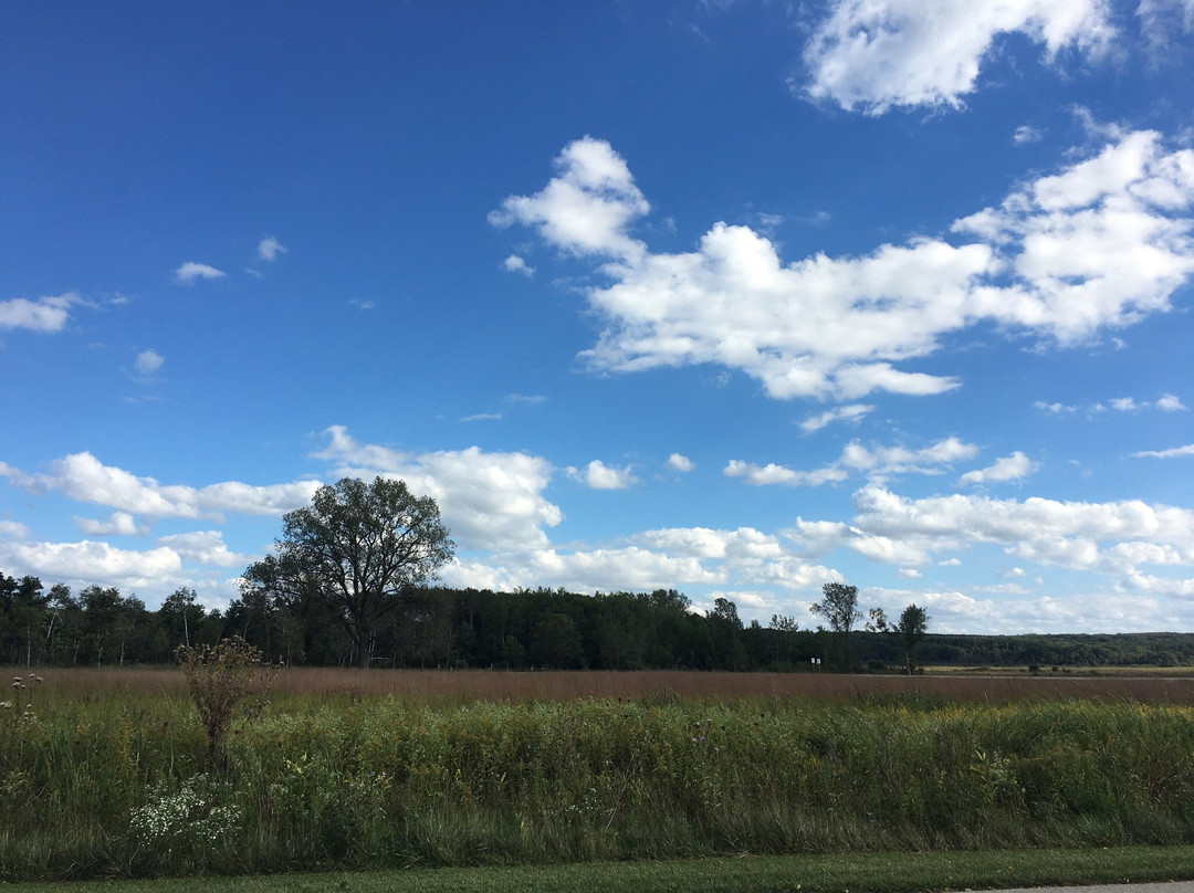 Eagle旅游景点-Kettle Morraine State Forest Southern Unit