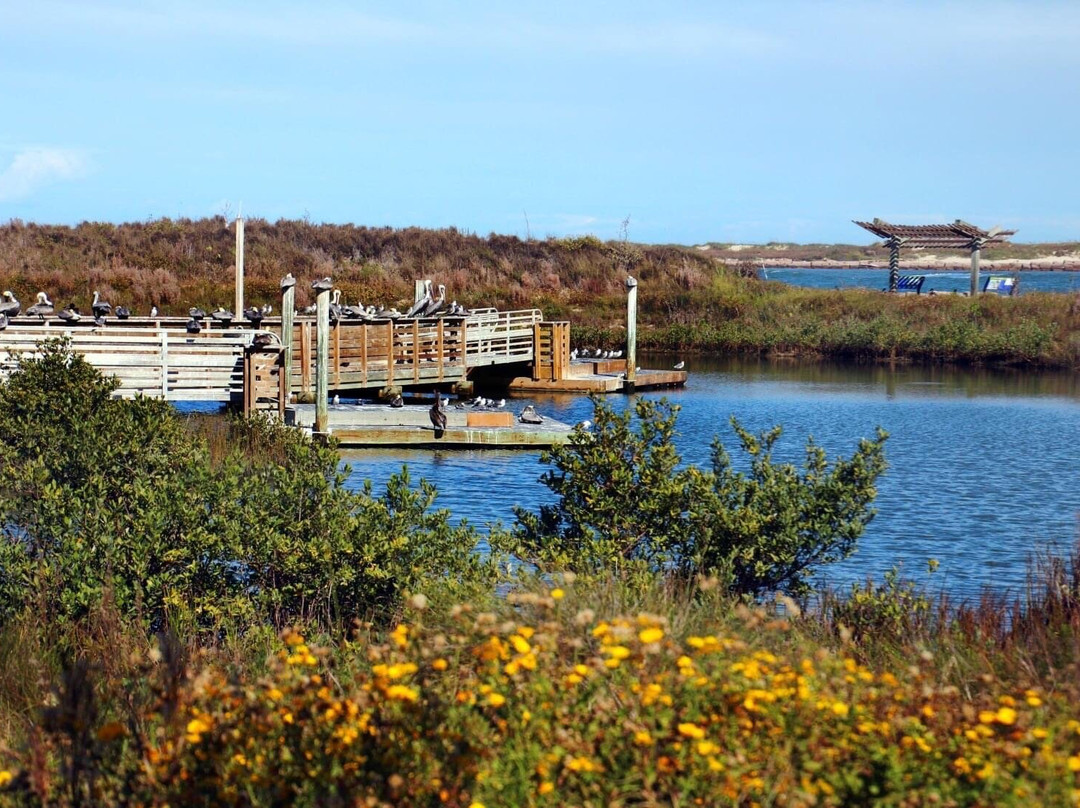 Wetland Education Center