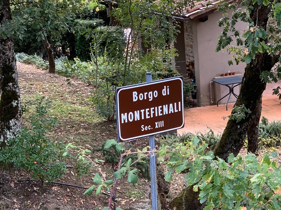 Antico Borgo Montefienali主图