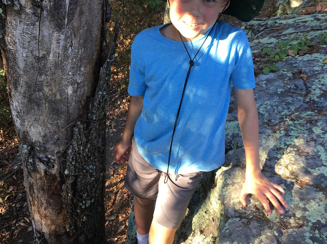 Pilot Knob Nature Preserve-Clay City必去景点