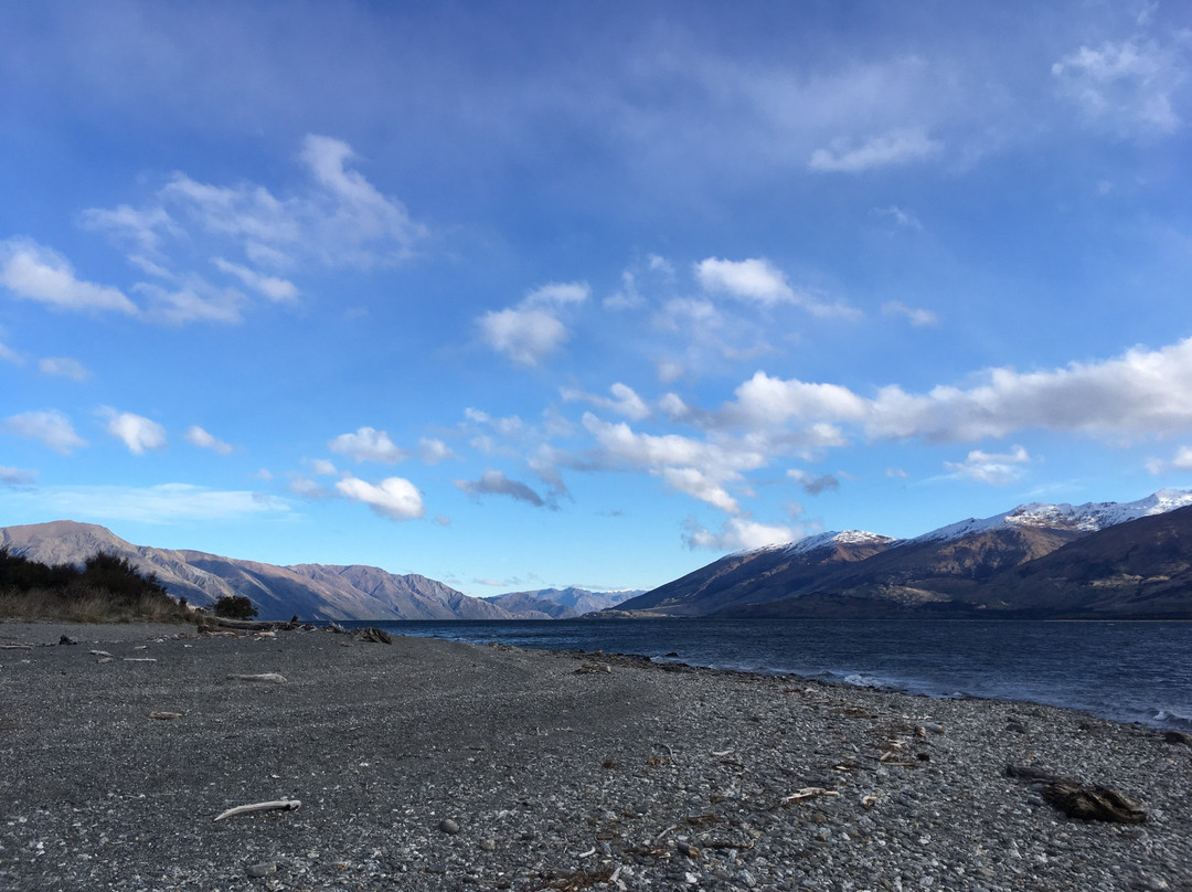 Lake Wanaka Lookout景点图片