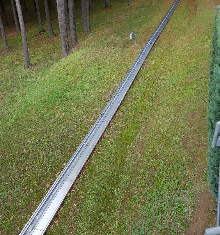 Sommerrodelbahn Saarburg景点图片