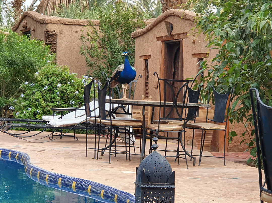 Bab el Oued Maroc Ecolodge主图