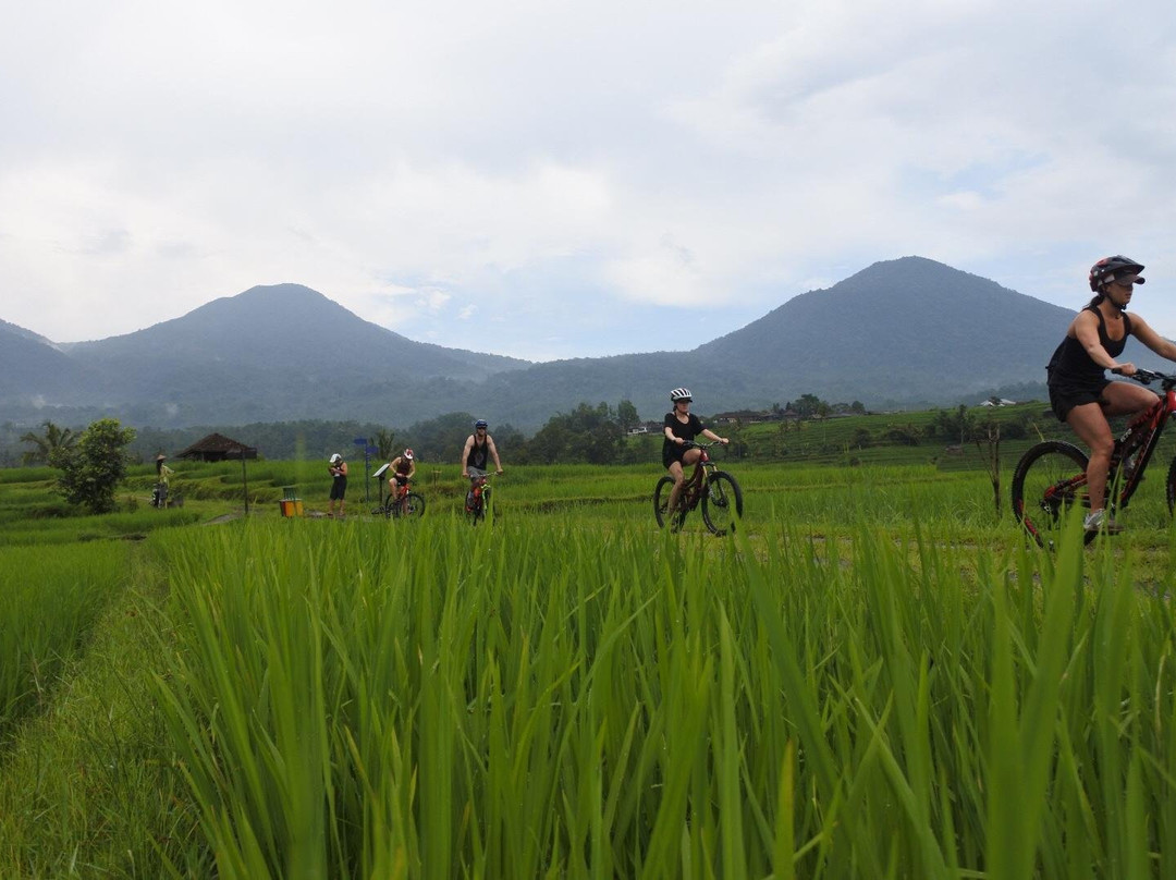 Besakih Mountain Bike Park景点图片