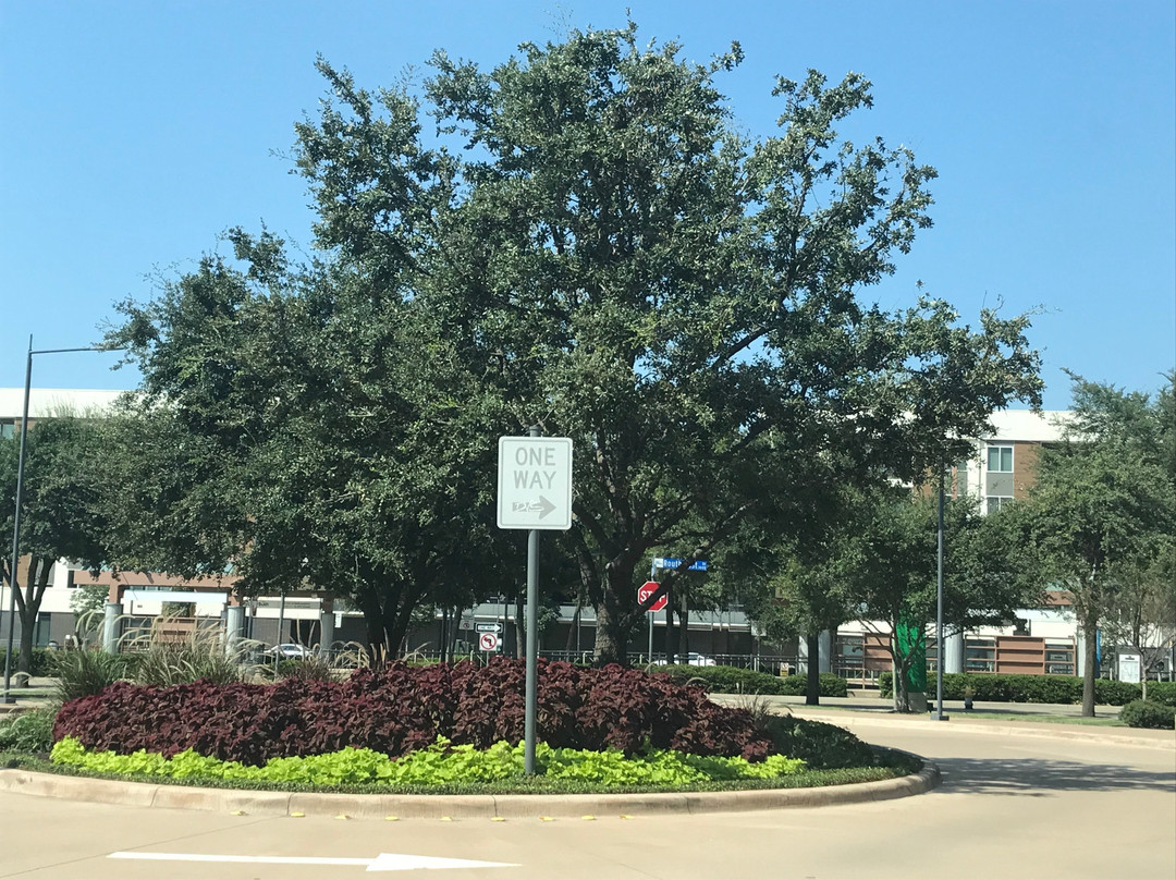 CityLine-理查森必去景点