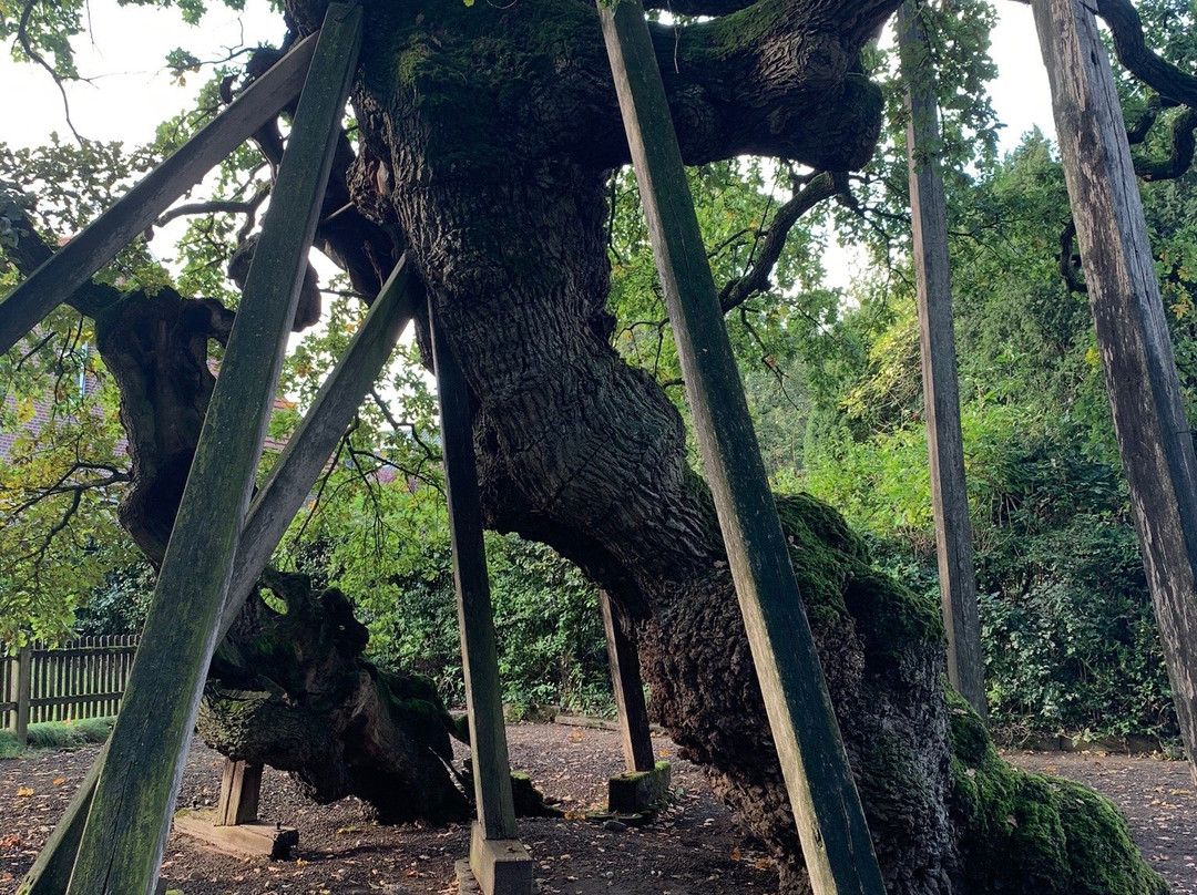 Femeiche-Raesfeld必去景点