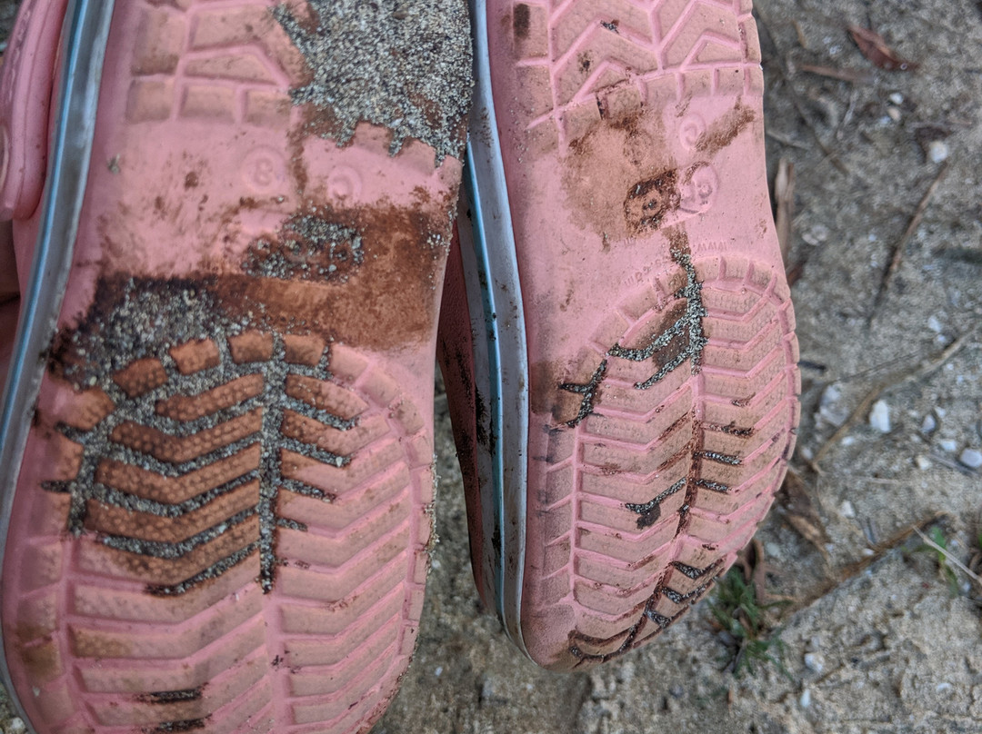 金巴兰森林度假酒店主图