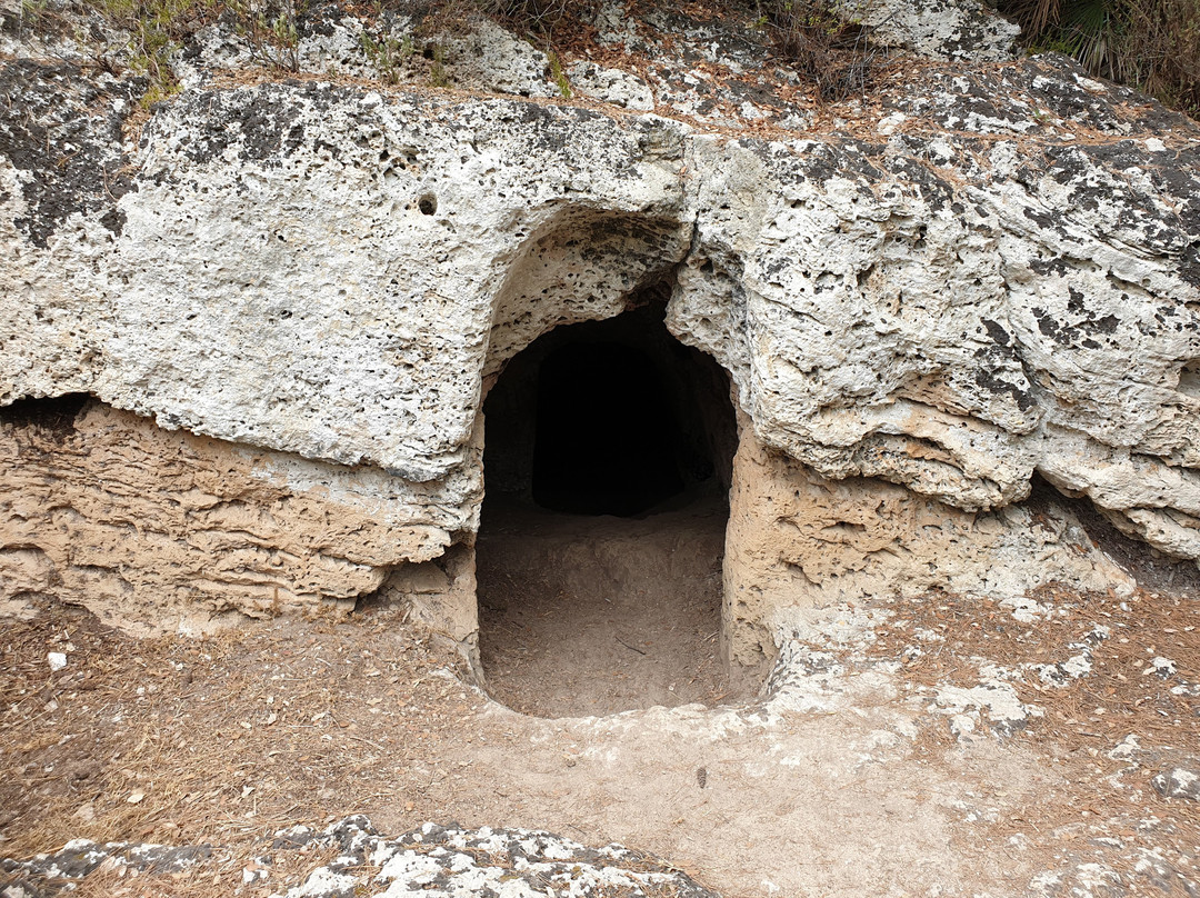 Cuevas de l'Alzinaret-Cala Sant Vicenc必去景点
