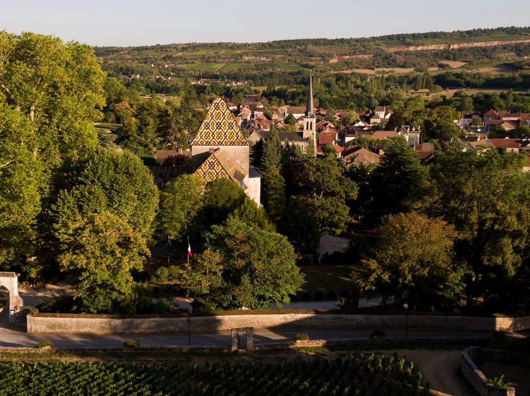 Château Philippe Le Hardi景点图片