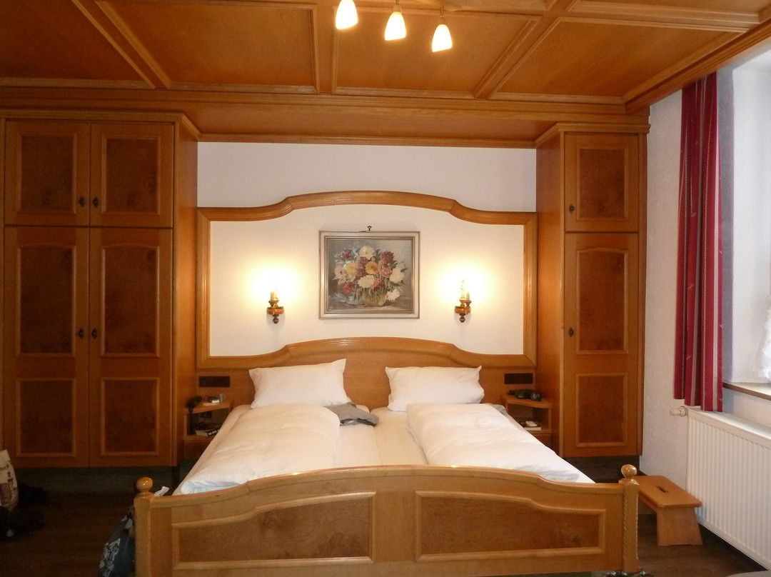 Hotel Edelweiss主图