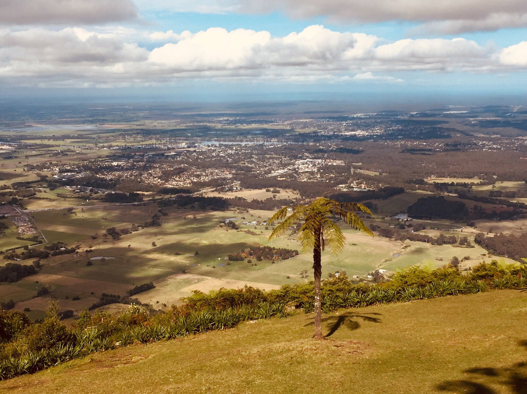 Cambewarra Mountain Lookout景点图片