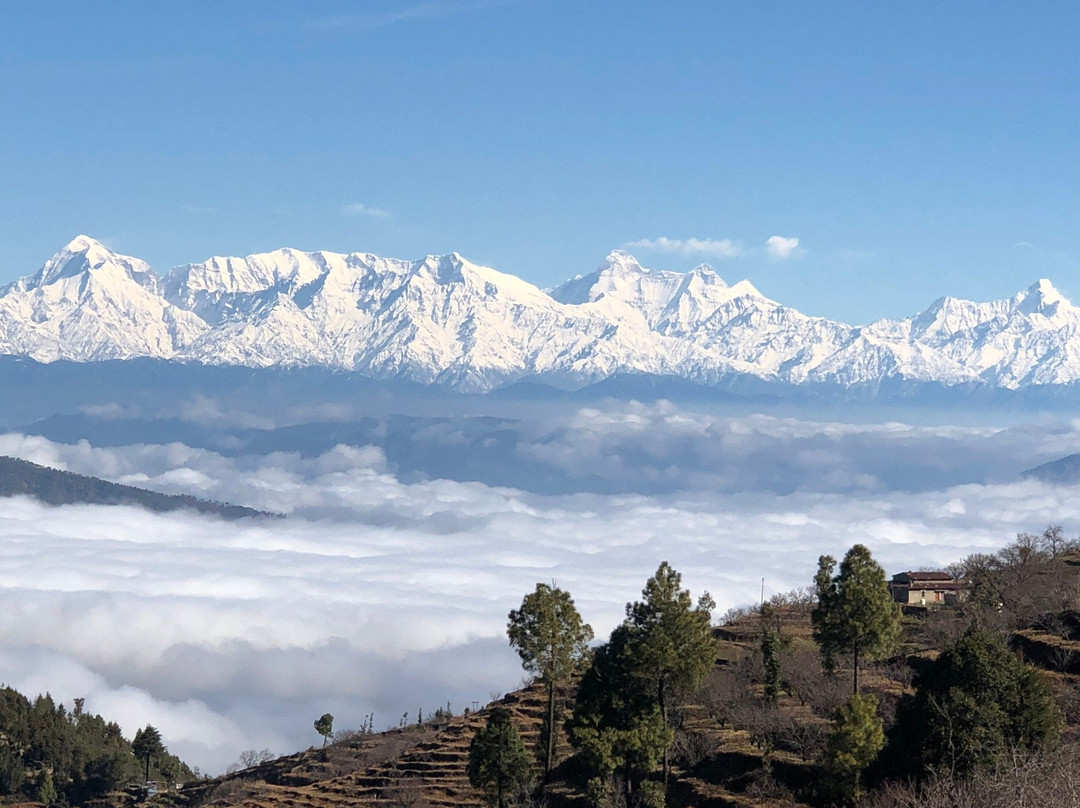 Chirping Chidiya主图