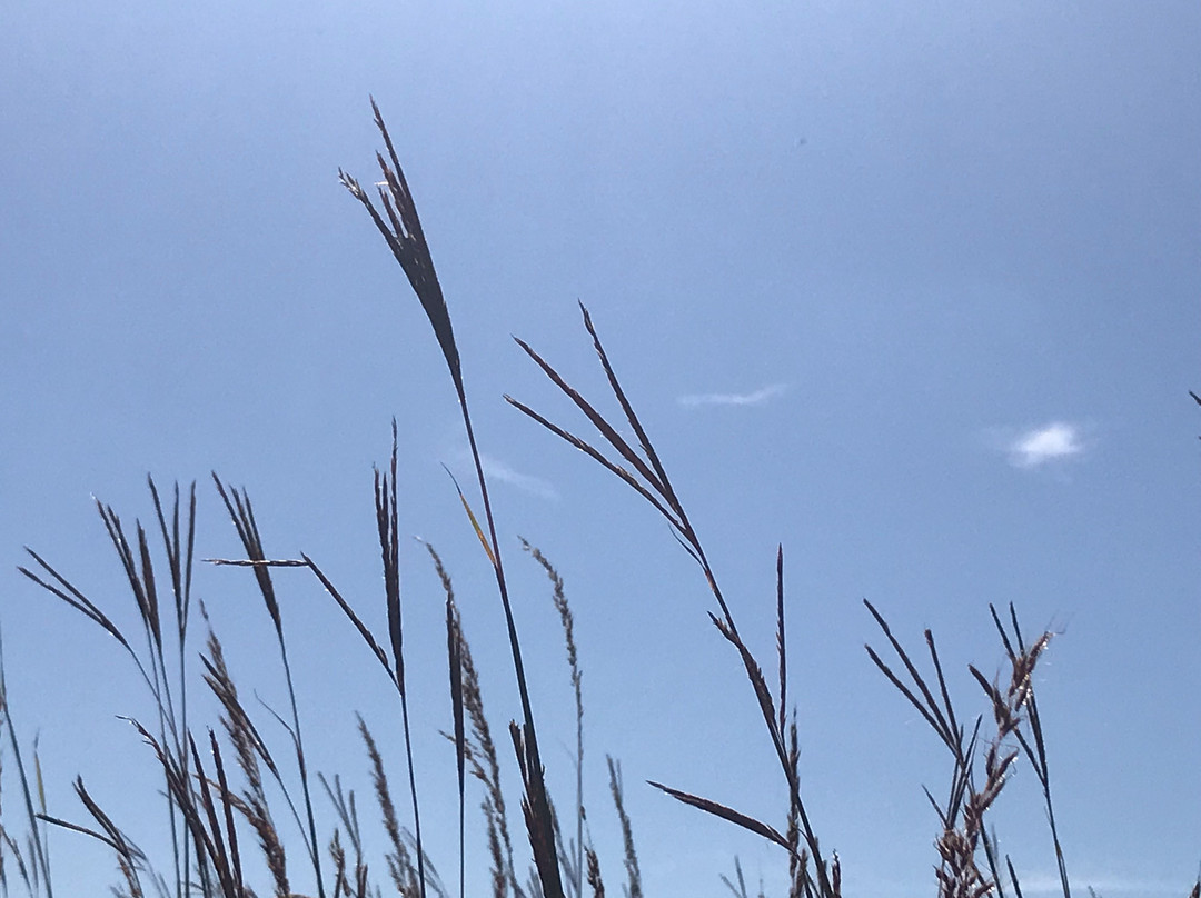 Moraine Hills State Park-McHenry必去景点