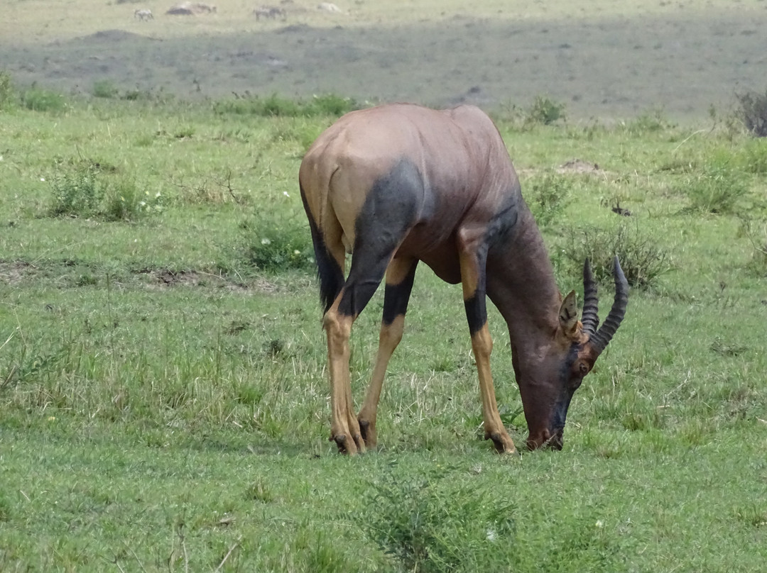 Pottos Adventures-阿鲁沙必去景点