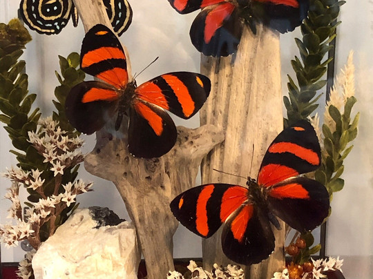 Maine Art Glass-Lisbon Falls必去景点