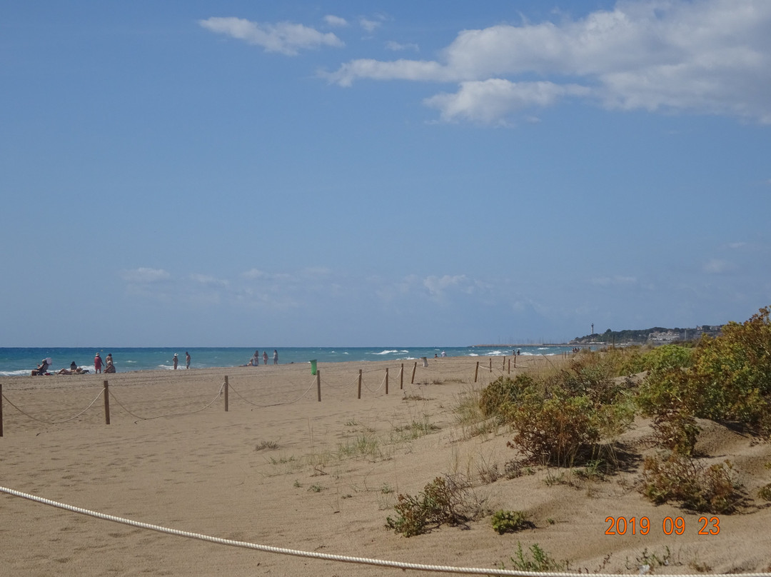 Platja de Creixell景点图片