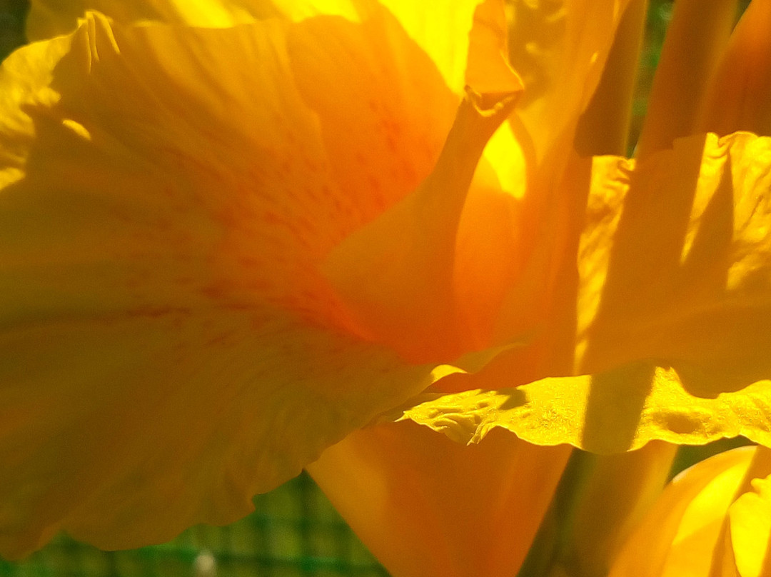 Studios Filippos主图