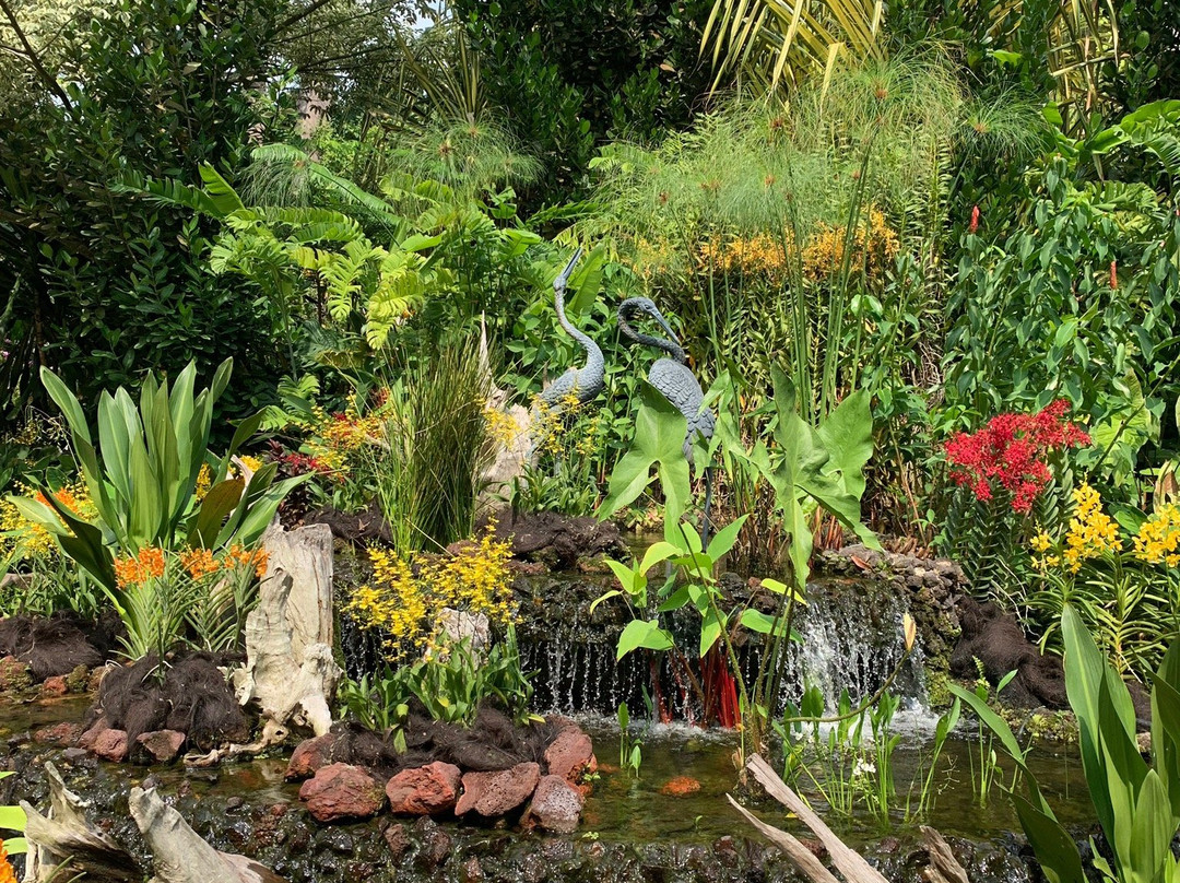 Botanical Garden-文冬必去景点