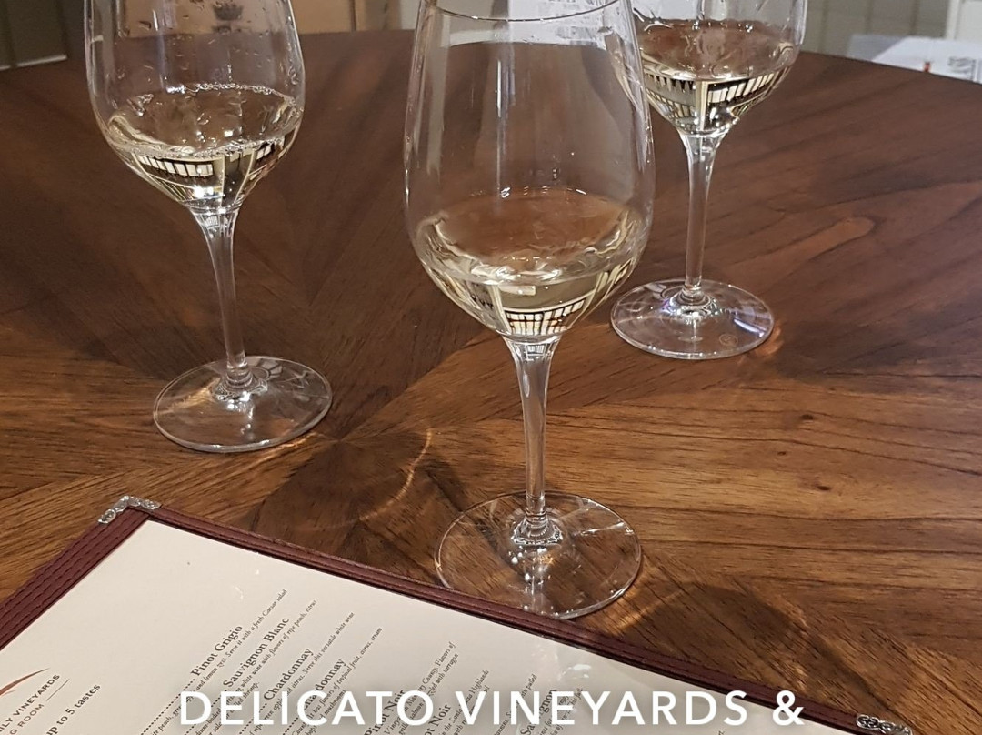 Delicato Family Vineyards Tasting Room-曼特卡必去景点