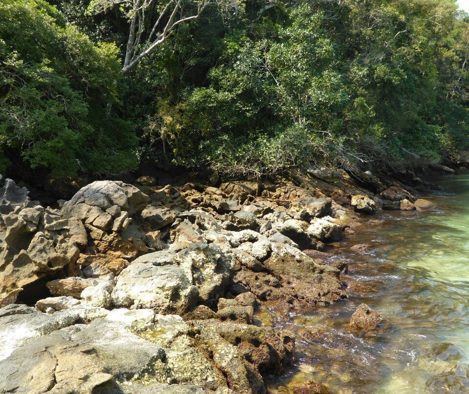 Ilha da Cotia Beach-帕拉地必去景点