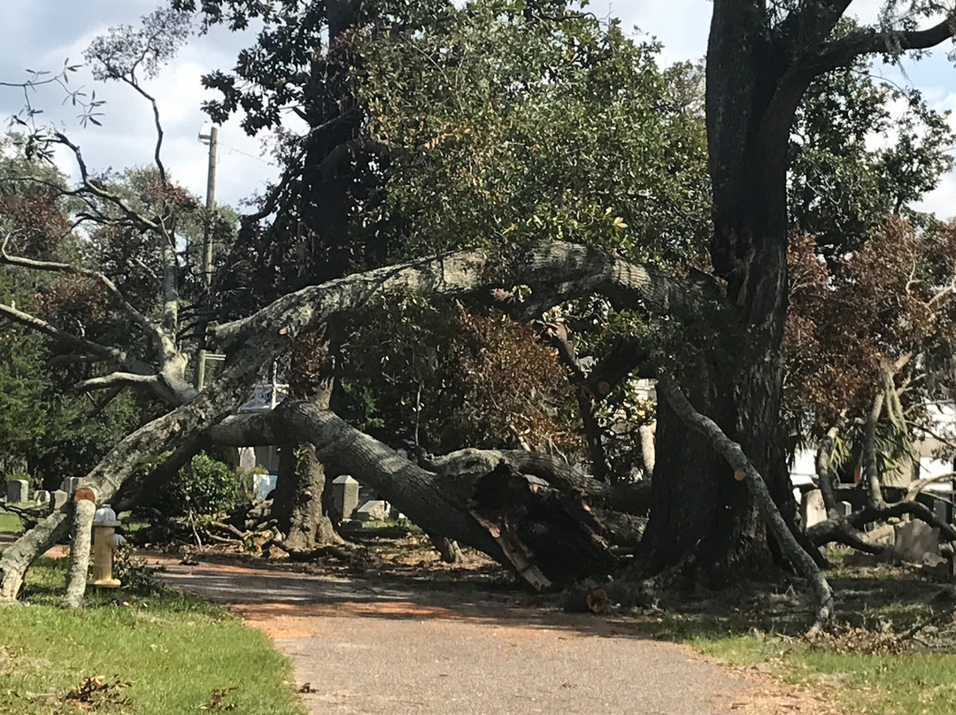 Magnolia Cemetery-查尔斯顿必去景点