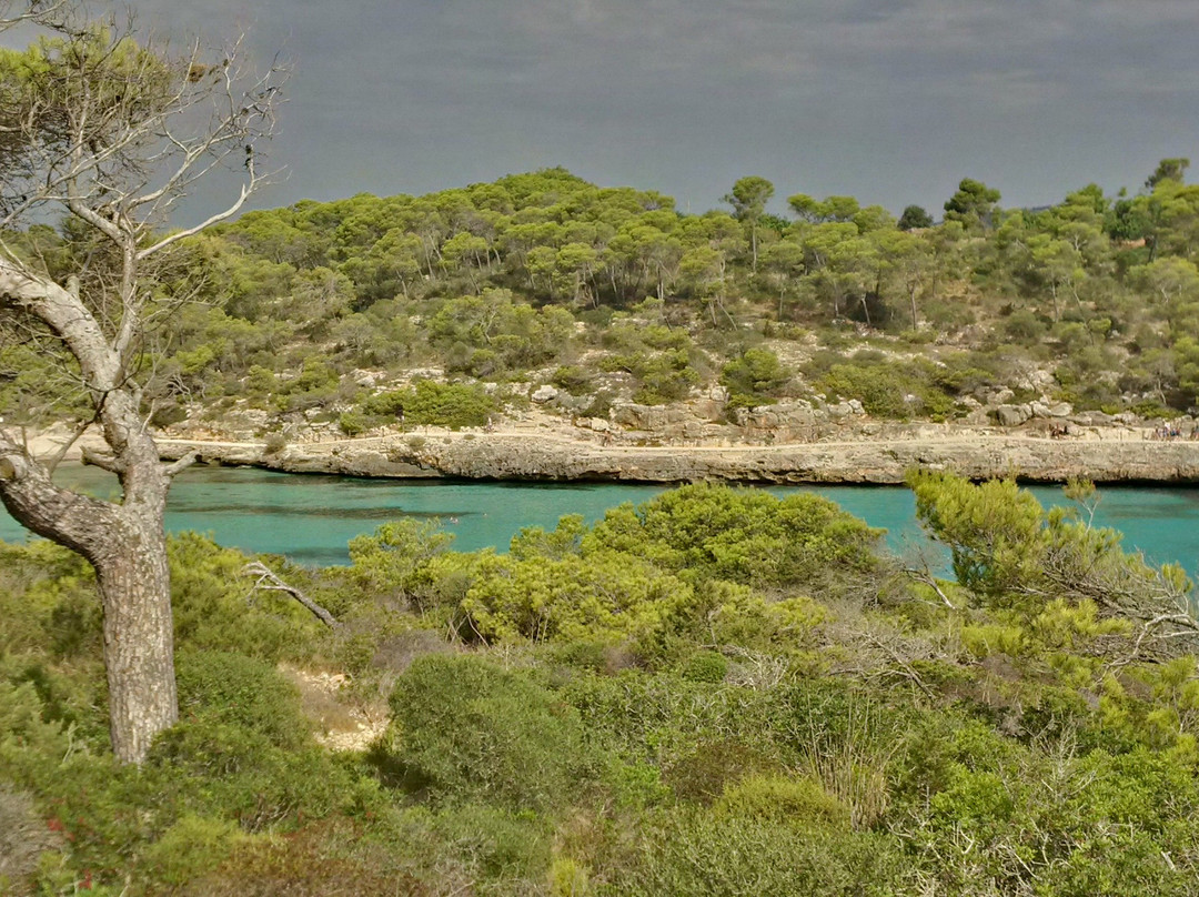 Cala d'en Borgit Beach-桑塔尼必去景点