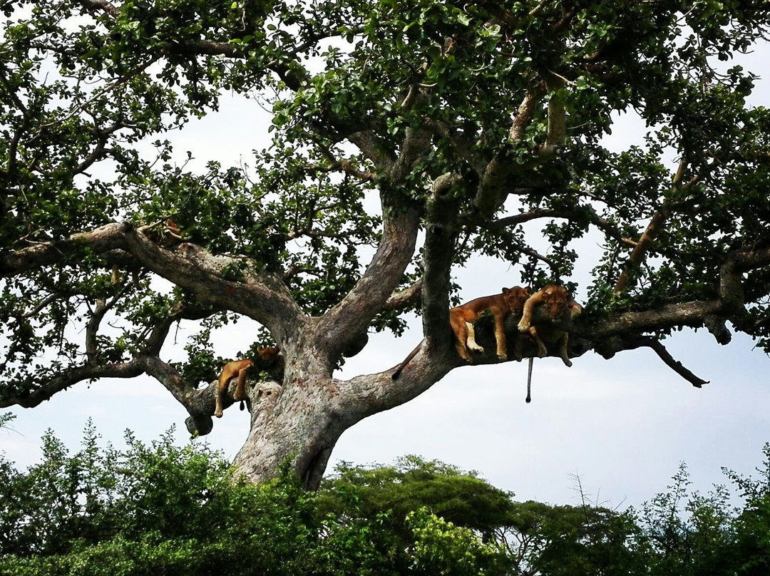 Kanungu旅游攻略图片