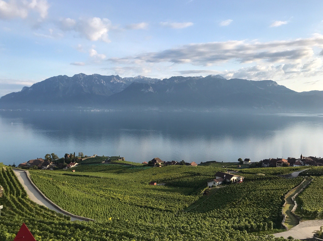 Domaine Bovy-谢布尔必去景点