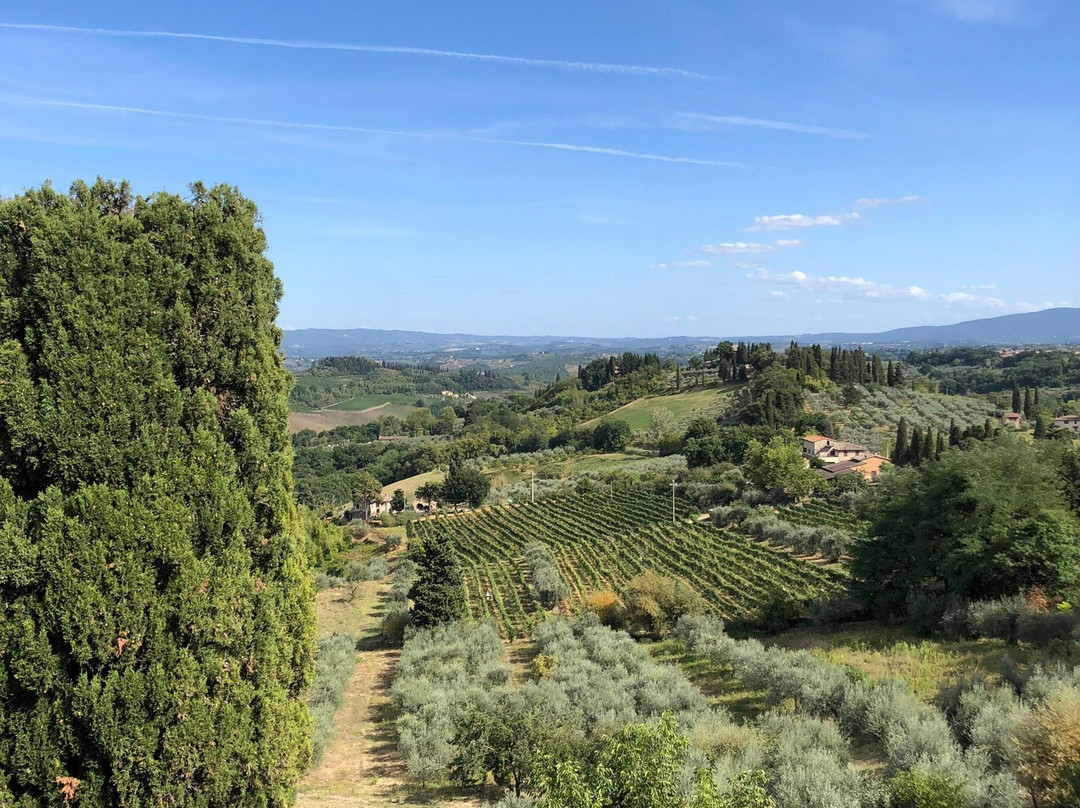 Podere Bellaria主图