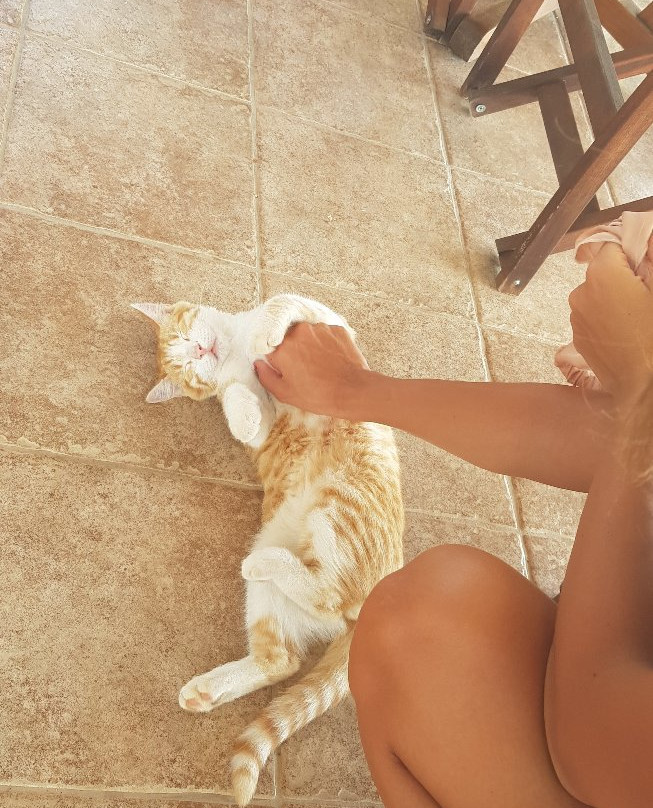 La Casa Di Nonna主图