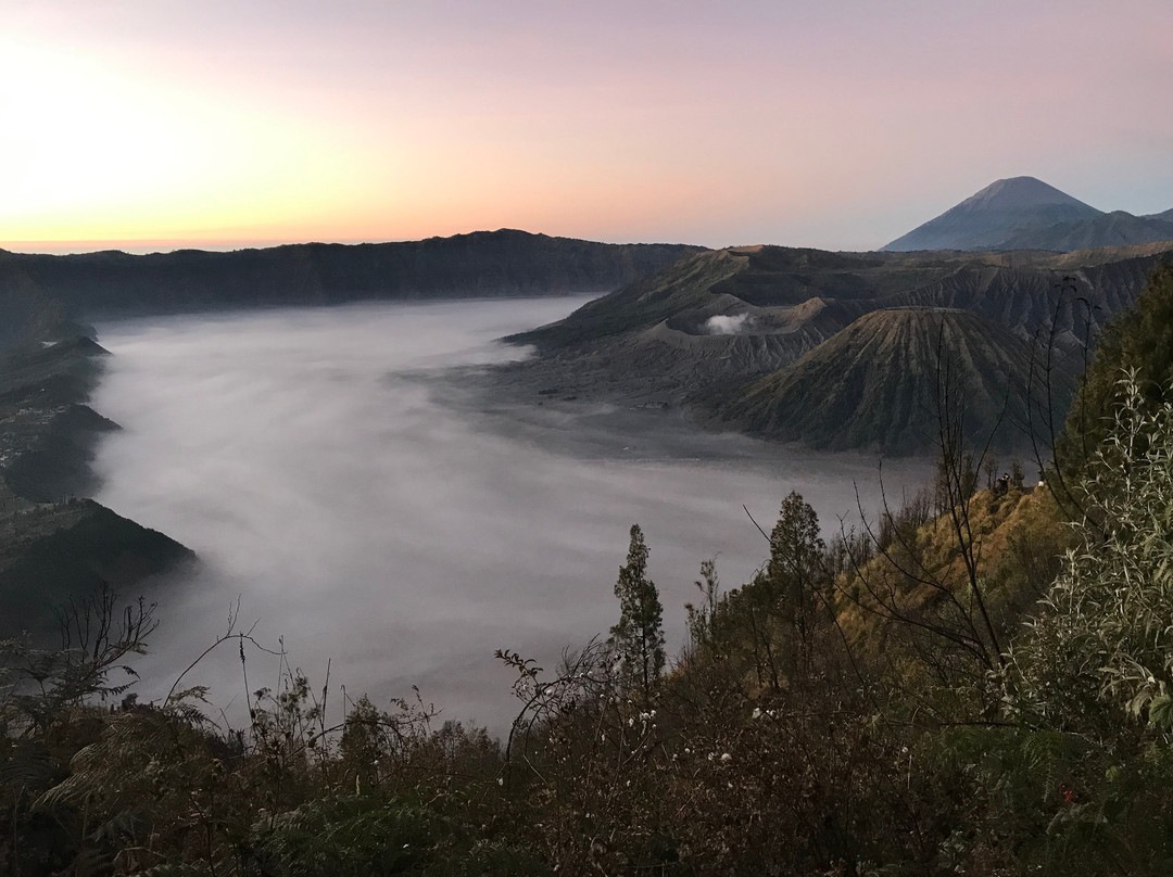 Jogja Driver景点图片