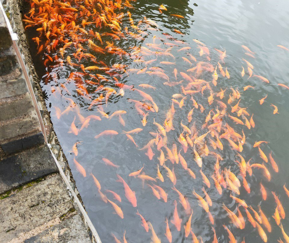 洪村-婺源县必去景点