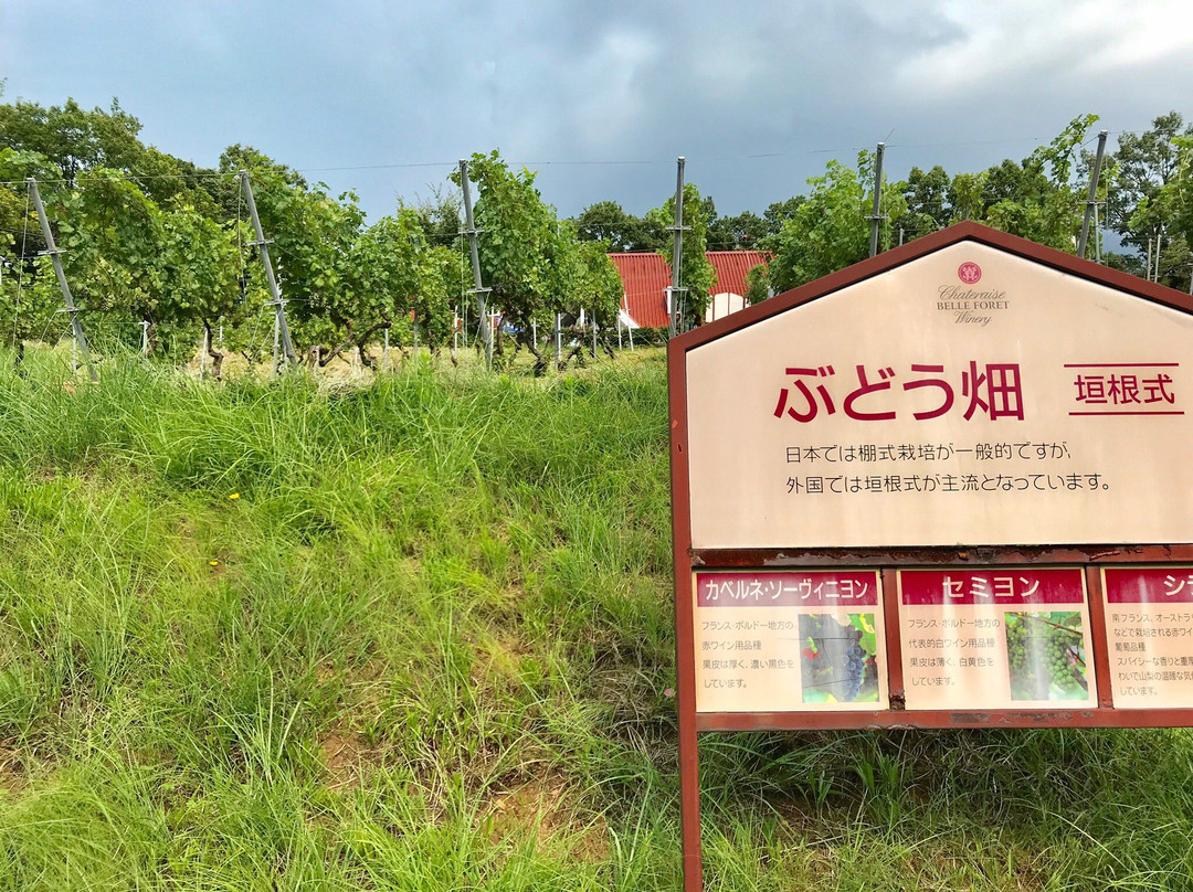 Chateraise Belleforet Winery景点图片