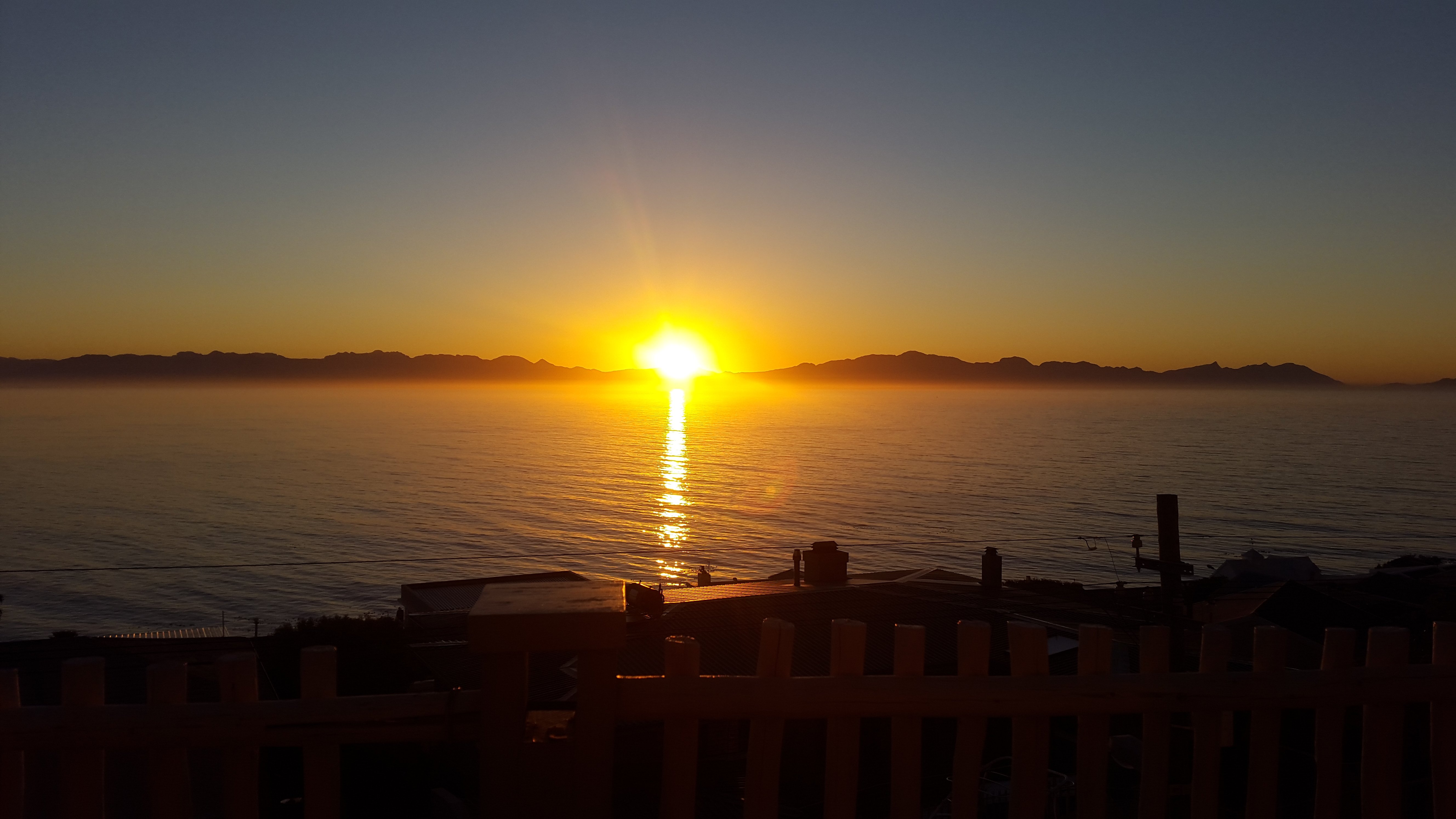 The Flying Penguin-官方