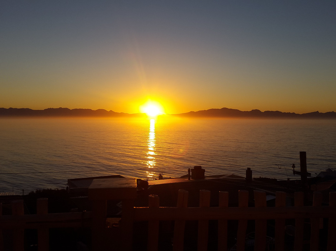 The Flying Penguin主图