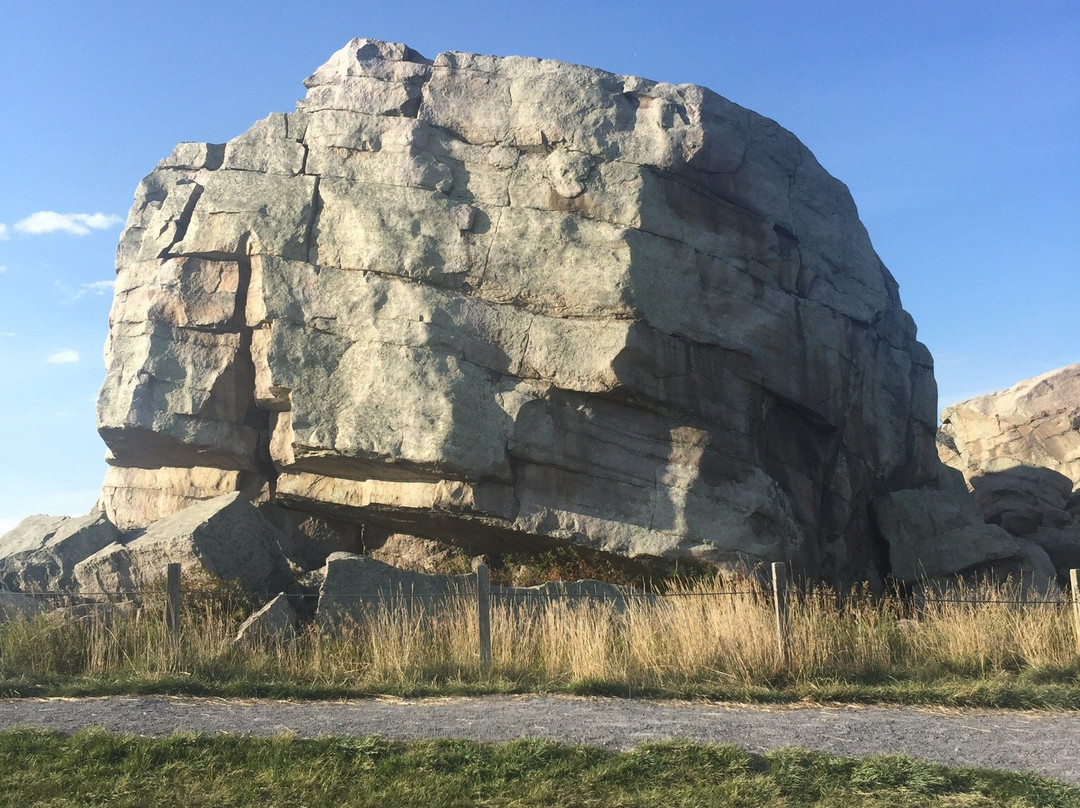 Okotoks Erratic - The Big Rock景点图片