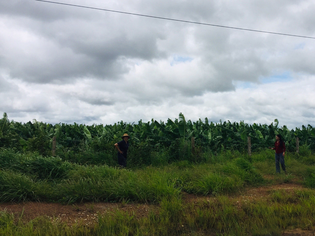 Ratanakiri Jungle Project-邦隆必去景点