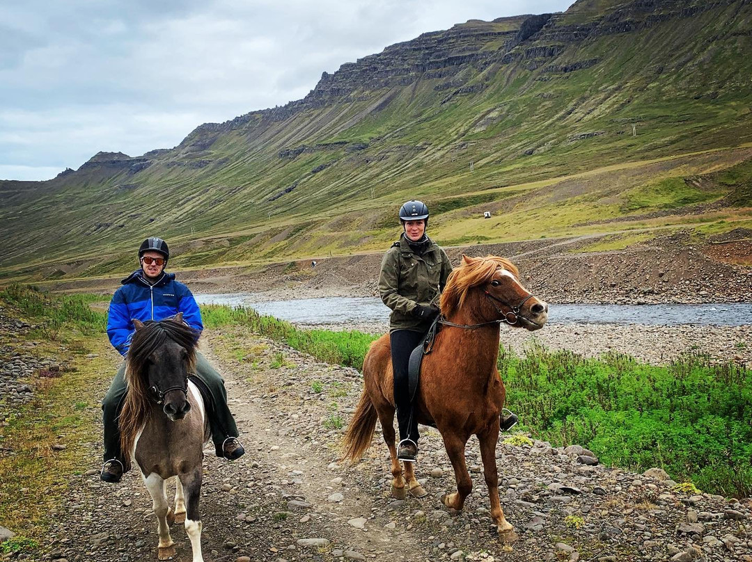 Skorrahestar - Riding Tours-内斯克伊斯塔泽必去景点