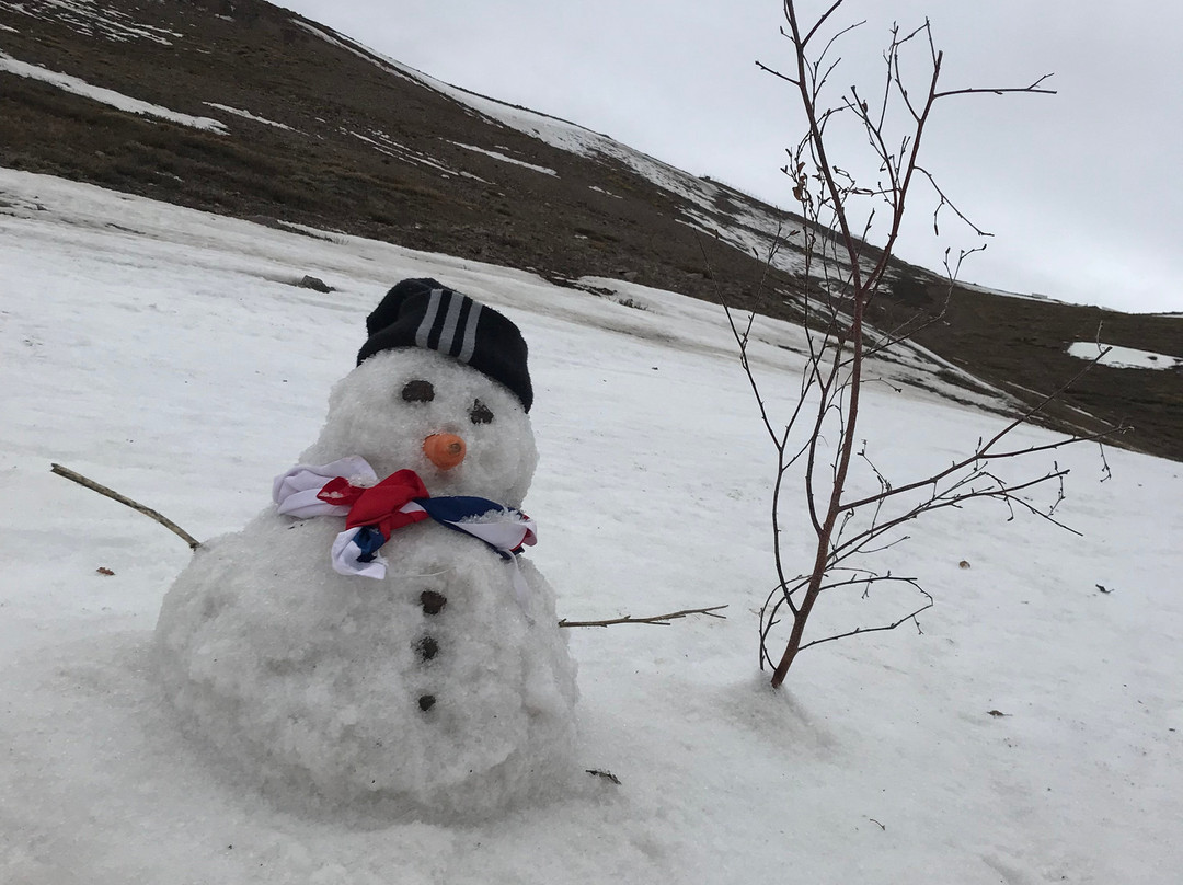 Central Valley Tours-圣地亚哥必去景点