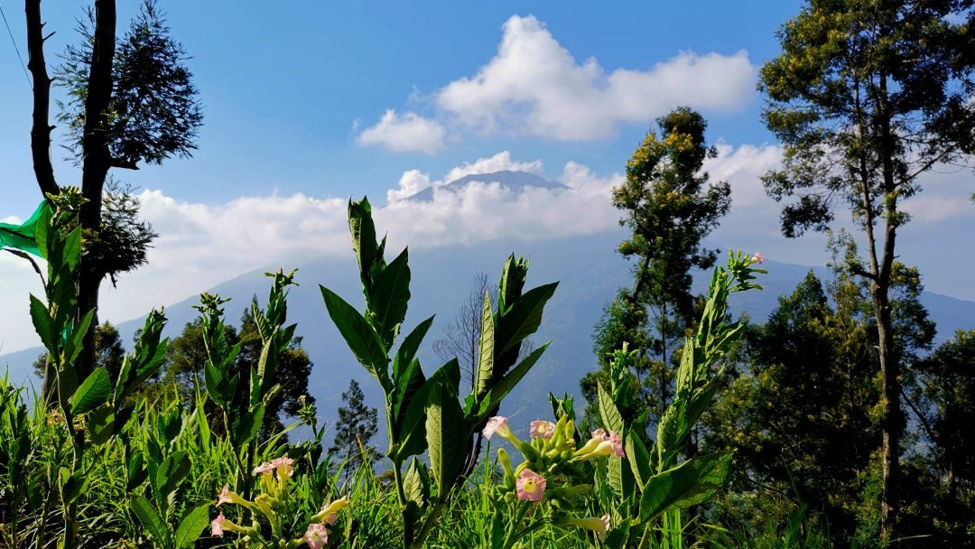 Ketep Pass-马吉冷必去景点