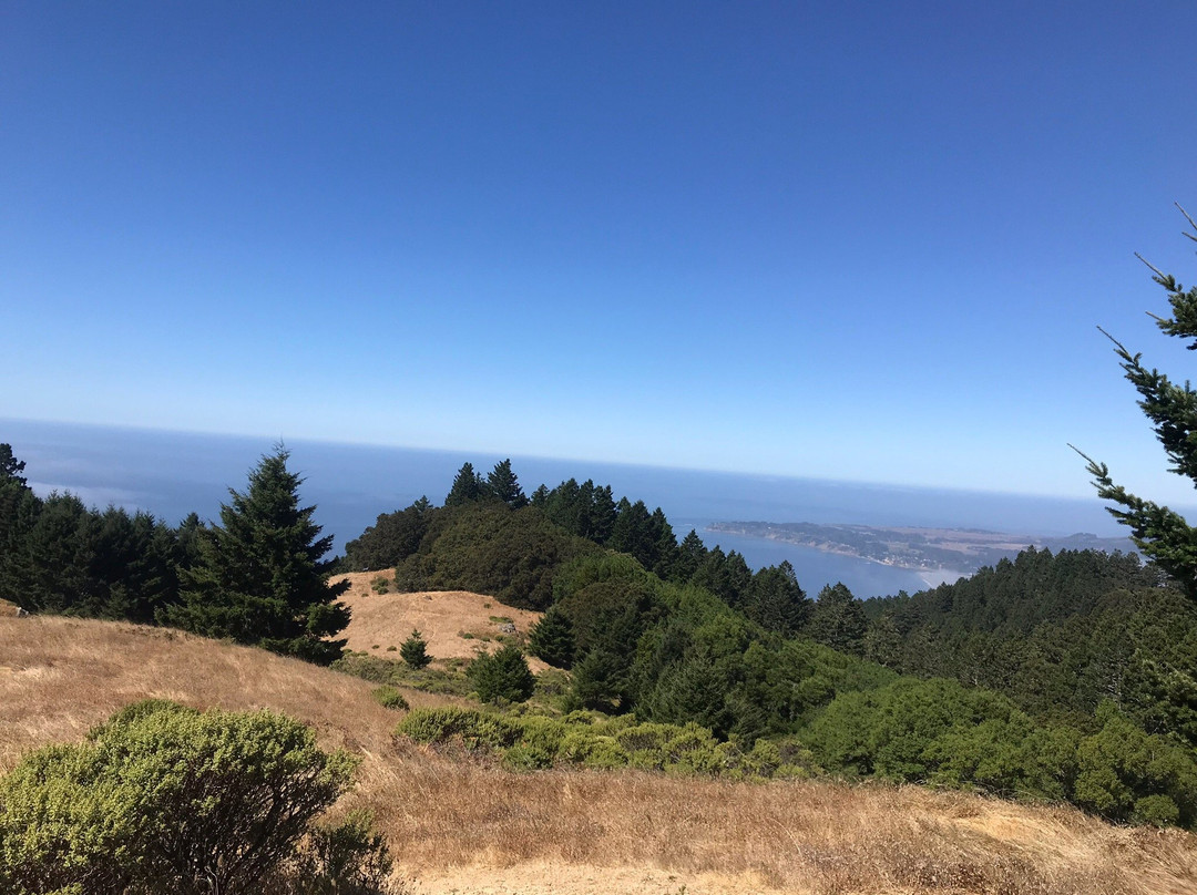 Dipsea Trail景点图片