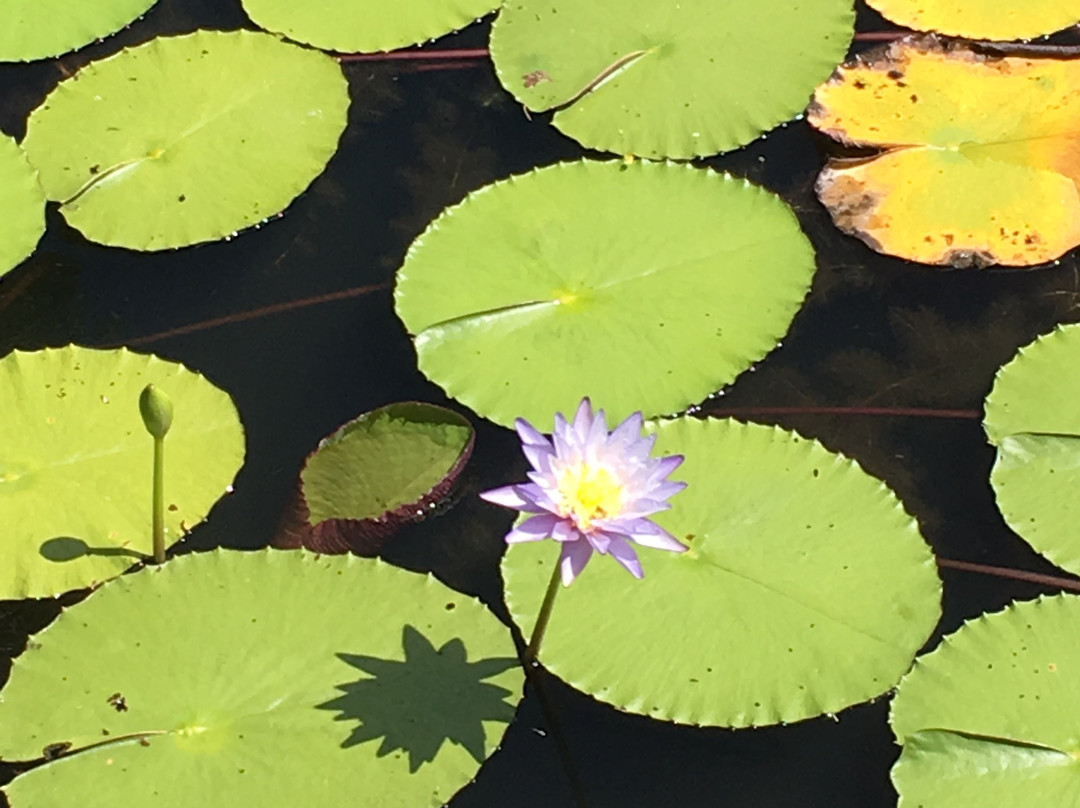 TYTO Wetlands-Ingham必去景点