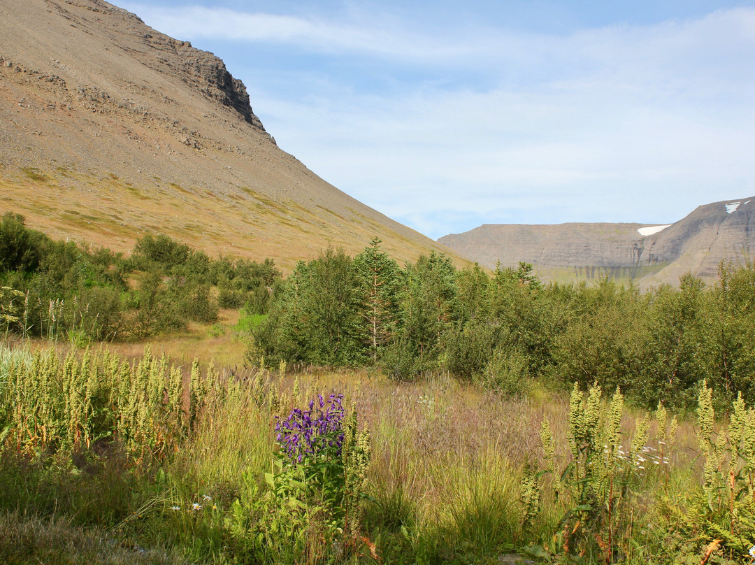 Skruður Botanical gardens景点图片